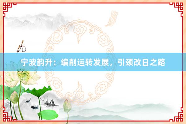 宁波韵升：编削运转发展，引颈改日之路